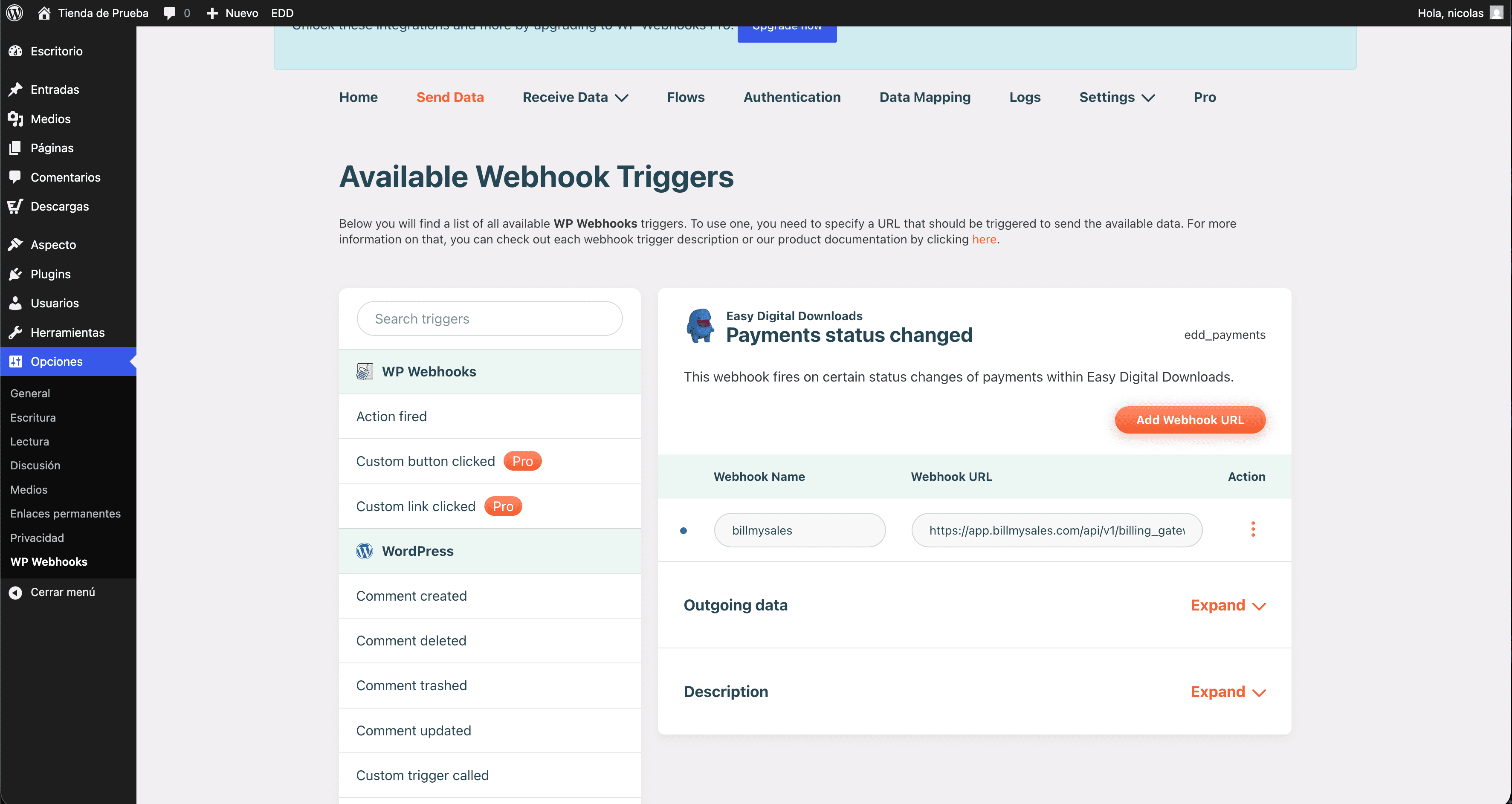 Pestaña Webhook en BillMySales
